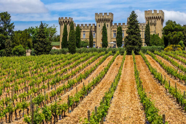 TO 16.10. | Châteauneuf-du-PaPe